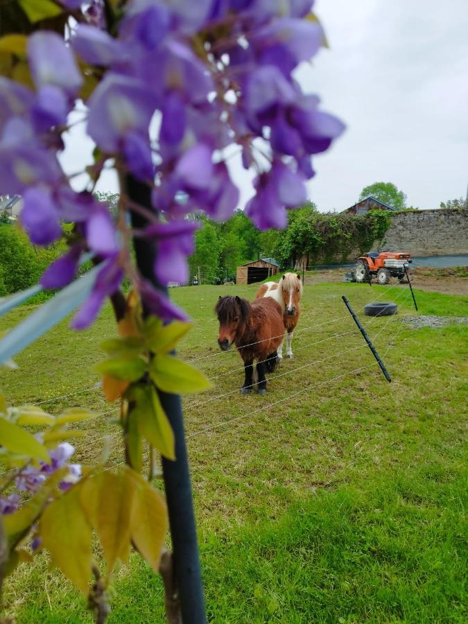 阿夫朗什Le Domaine De Pivette住宿加早餐旅馆 外观 照片